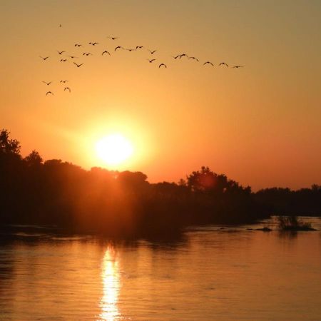 Bongan Safari Lodge Mbabat Dış mekan fotoğraf