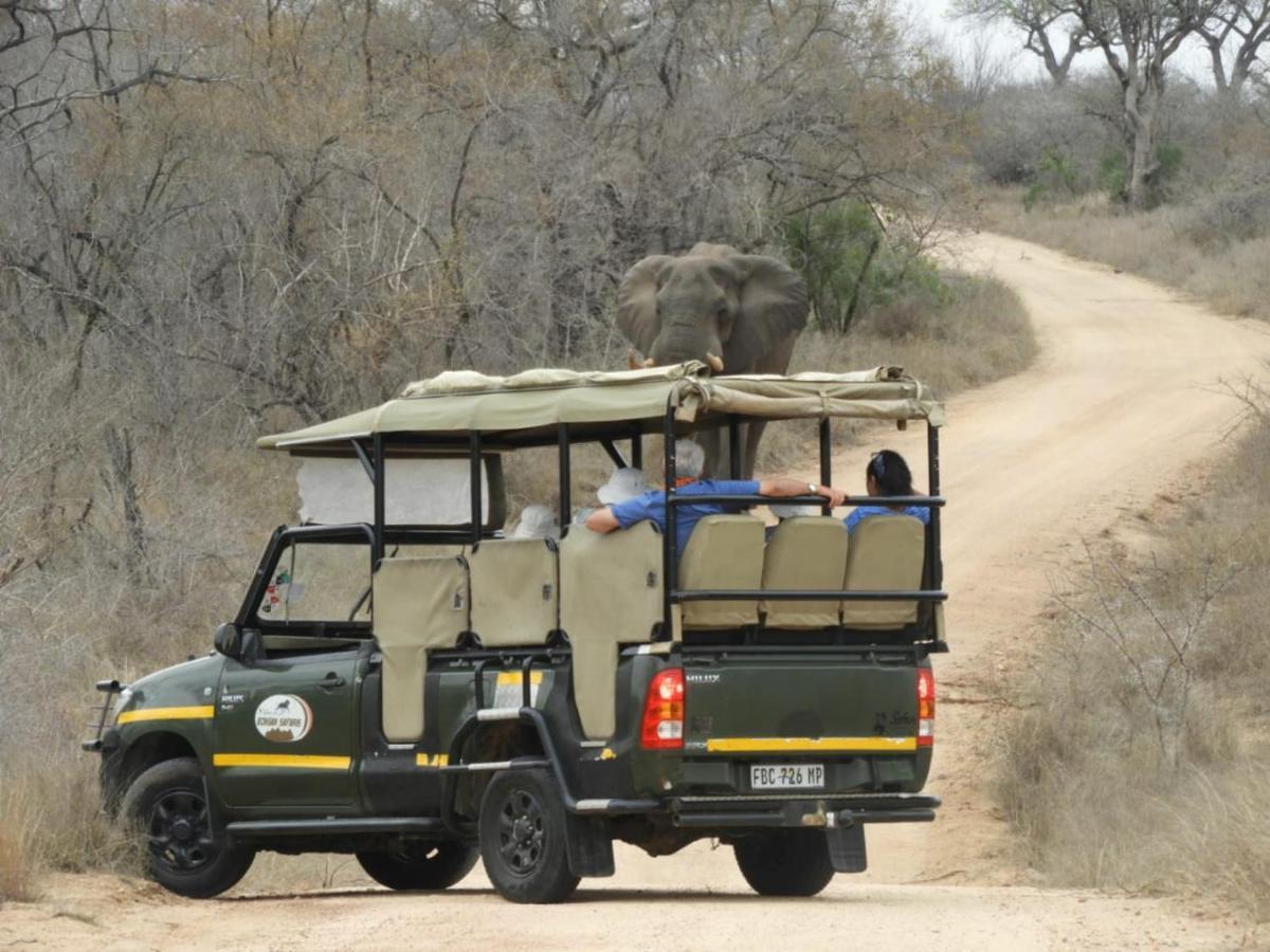 Bongan Safari Lodge Mbabat Dış mekan fotoğraf