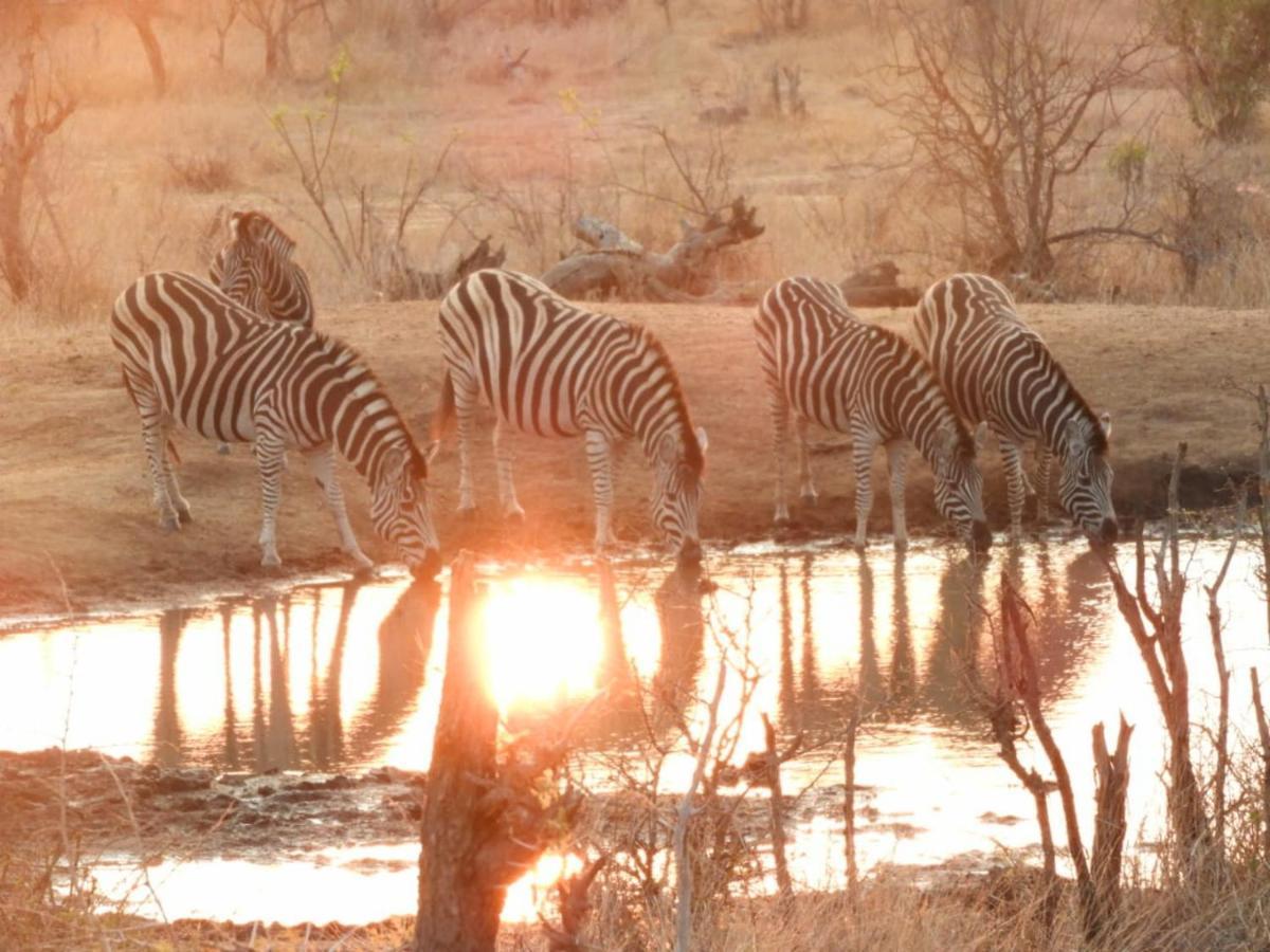 Bongan Safari Lodge Mbabat Dış mekan fotoğraf